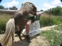 A Horse Fucked him Like a Woman